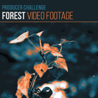Forest Challenge | Video Footage