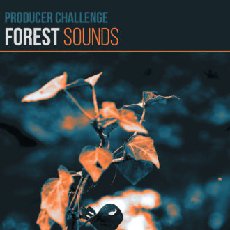 Forest Challenge